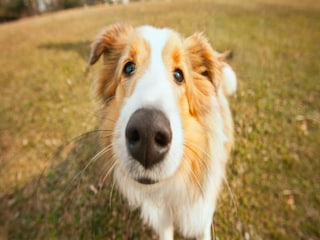 Holiday house Moncucco  40