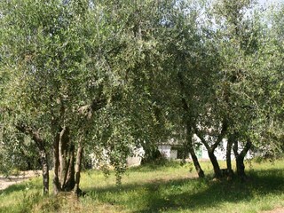 Casa per le vacanze San Casciano Registrazione all'aperto 9