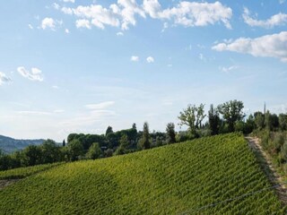 Casa per le vacanze San Casciano Ambiente 24