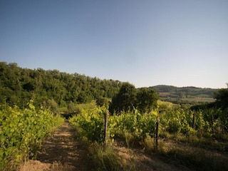 Ferienhaus San Casciano Umgebung 26