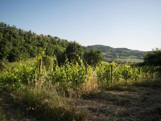 Casa per le vacanze San Casciano Ambiente 29