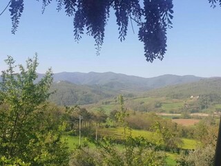 Casa per le vacanze San Casciano Ambiente 32