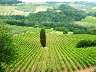 Holiday house San Casciano Environment 36