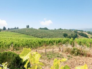 Vakantiehuis San Casciano Omgeving 24