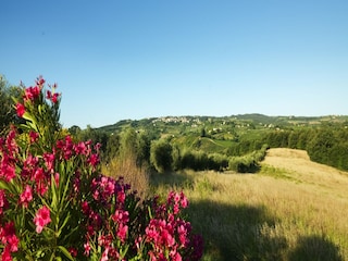 Casa per le vacanze Montaione Registrazione all'aperto 9