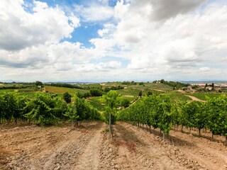 Fattoria Montaione Ambiente 33