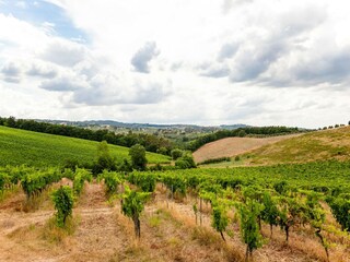 Bauernhof Montaione Außenaufnahme 15