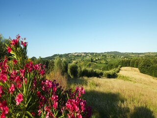 Farmhouse Montaione Outdoor Recording 16