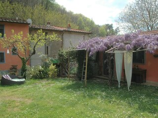 Vakantiehuis Vecchiano Buitenaudio-opname 3