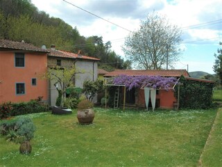 Vakantiehuis Vecchiano Buitenaudio-opname 4
