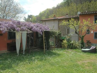 Vakantiehuis Vecchiano Buitenaudio-opname 9