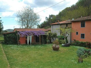 Vakantiehuis Vecchiano Buitenaudio-opname 6