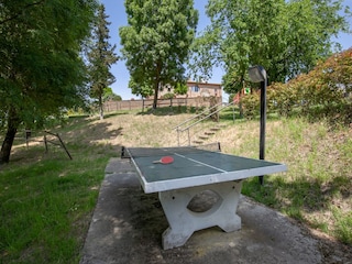 Appartamento Lajatico  31