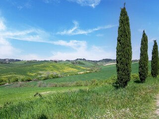 Appartement Lajatico Omgeving 31