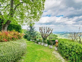 Appartement Cupramontana Buitenaudio-opname 7