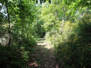 Fattoria Apecchio Ambiente 28