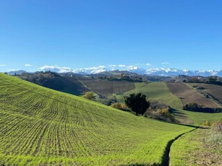 Villa Cagli Environnement 37
