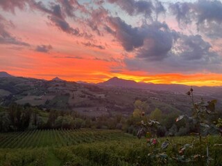 Villa Cagli Omgeving 39
