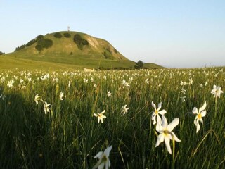 Villa Cagli Omgeving 32