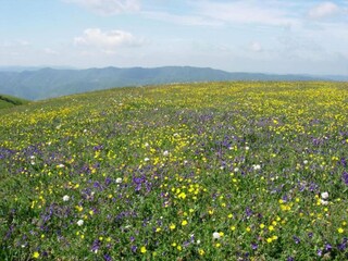 Villa Cagli Umgebung 33