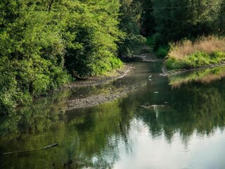 Villa Cagli Environnement 37