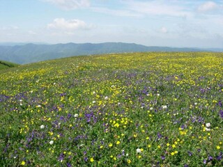 Villa Cagli Entorno 34