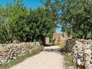 Fattoria Noto Marina Ambiente 41