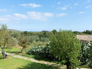 Fattoria Noto Marina Registrazione all'aperto 7