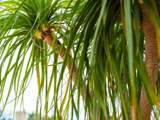 Apartment San Lorenzo (Sizilien)  42