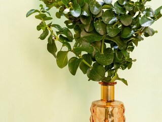 Apartamento San Lorenzo (Sizilien)  33