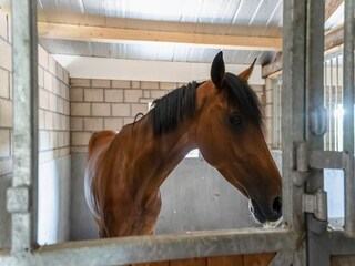 Casa per le vacanze Uden  40