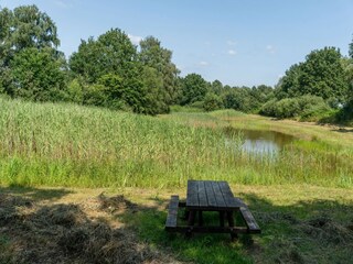 Casa de vacaciones Uden Entorno 35