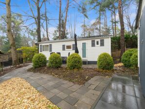 Schönes Ferienchalet in Emst mit Garten - Vierhouten - image1