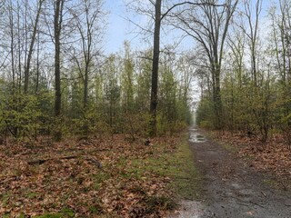 Chalet Vierhouten Ambiente 30