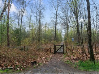 Chalet Vierhouten Environnement 33