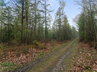 Chalet Vierhouten Environnement 34