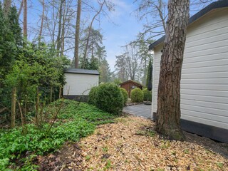 Chalet Vierhouten Omgeving 33