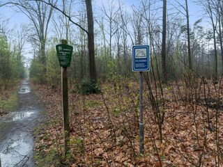 Chalet Vierhouten Environnement 34