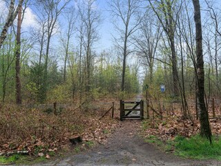 Chalet Vierhouten Environnement 35