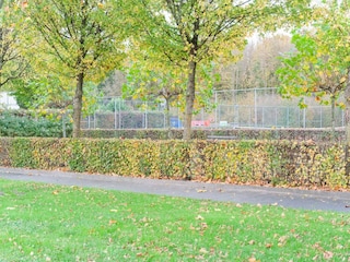 Ferienhaus Ermelo Außenaufnahme 5