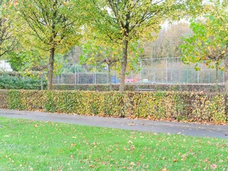 Maison de vacances Ermelo Enregistrement extérieur 5