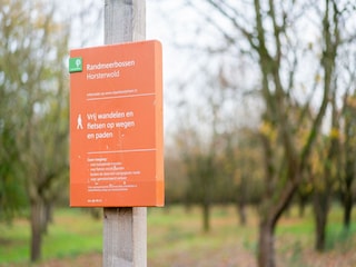 Ferienhaus Ermelo  40