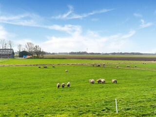 Ferienhaus Munnekeburen Außenaufnahme 8