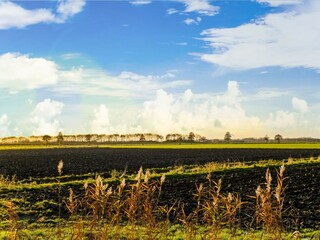 Vakantiehuis Zevenbergen Omgeving 32