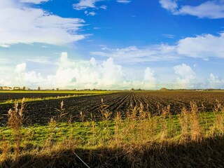 Casa per le vacanze Zevenbergen Ambiente 33