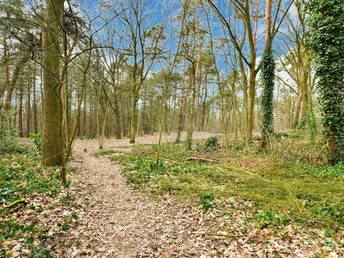 Ferienhaus Helenaveen Umgebung 36