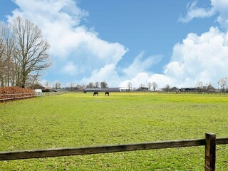 Vakantiehuis Helenaveen Buitenaudio-opname 8