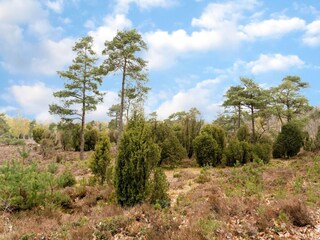 Vakantiehuis Grolloo Omgeving 37
