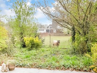 Casa de vacaciones Heusden Grabación al aire libre 2