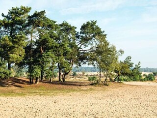 Vakantiehuis Heusden Omgeving 36